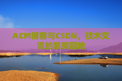 ACM博客与CSDN，技术交流的繁荣园地